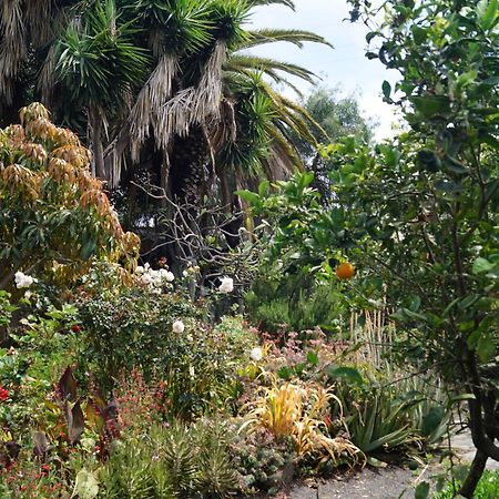 La Casita Del Jardinero Villa Los Llanos De Aridane Dış mekan fotoğraf
