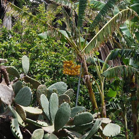 La Casita Del Jardinero Villa Los Llanos De Aridane Dış mekan fotoğraf