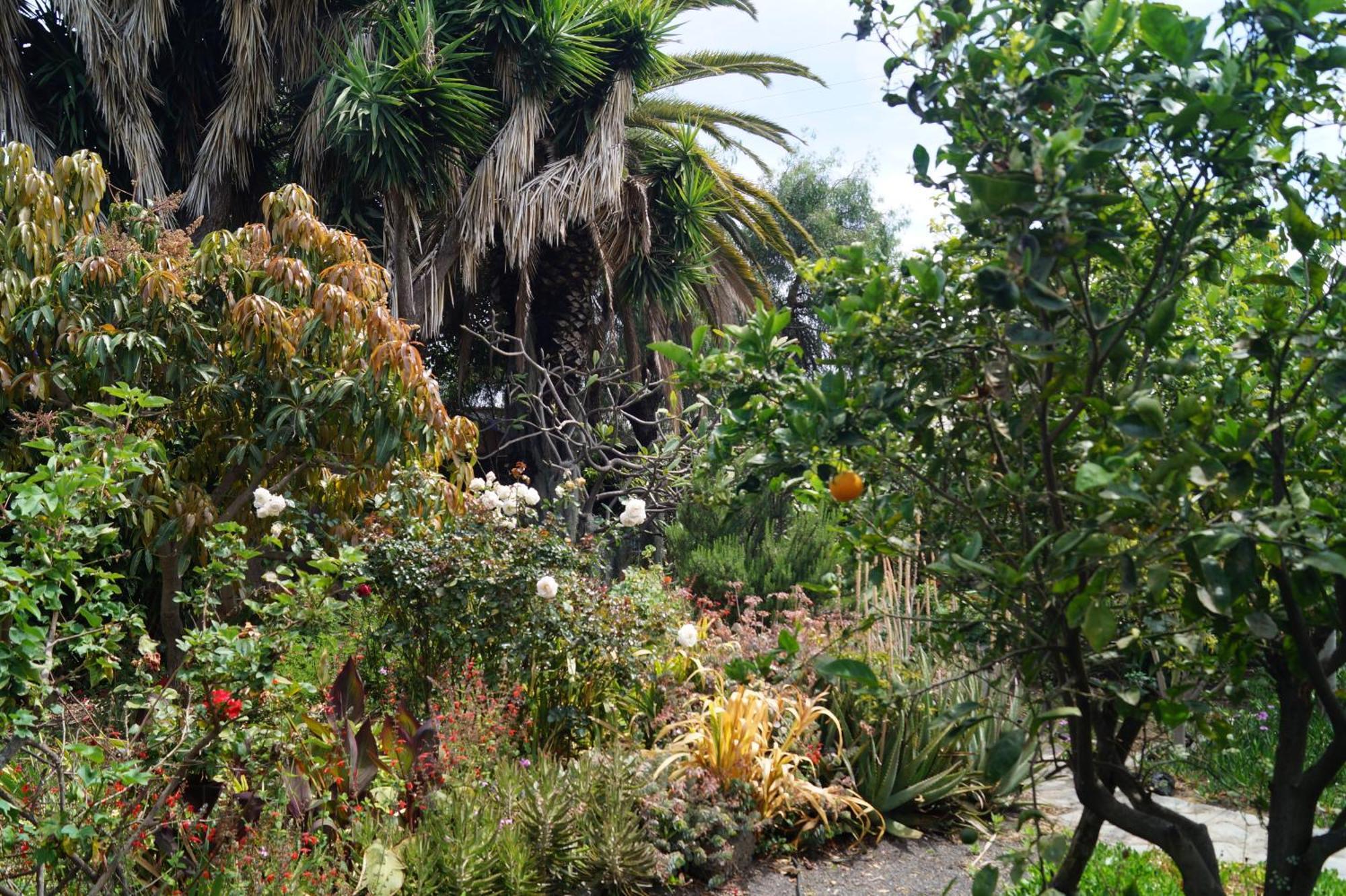 La Casita Del Jardinero Villa Los Llanos De Aridane Dış mekan fotoğraf